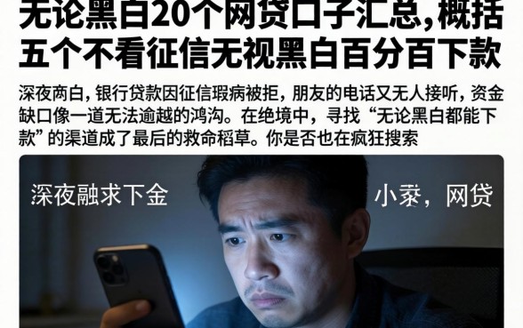无论黑白的20个网贷口子汇总，概括五个不看征信无视黑白百分百下款