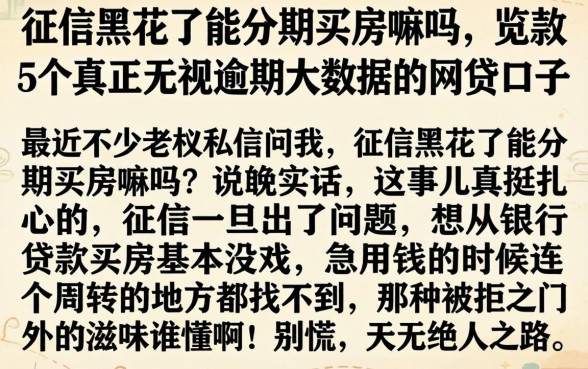 征信黑花了能分期买房嘛吗，规整5个真正无视逾期大数据的网贷口子
