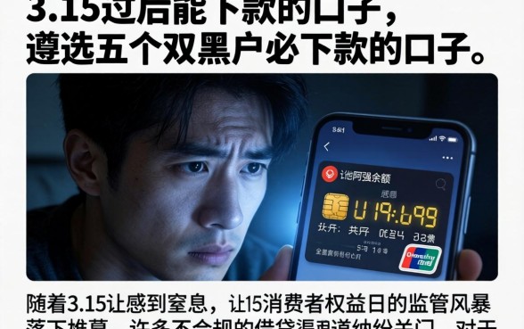 3.15过后能下款的口子，遴选五个双黑户必下款的口子