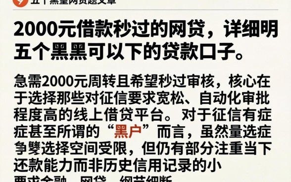 2000元借款秒过的网贷，详尽说明五个黑户可以下的贷款口子