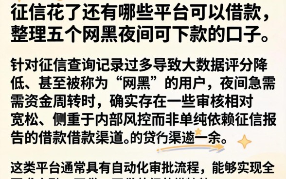 征信花了还有哪些平台可以借款,整理五个网黑夜间可下款的口子