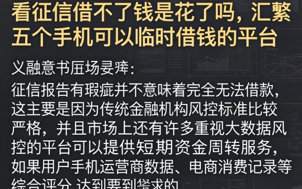 看征信借不了钱是花了吗，汇整五个手机可以临时借钱的平台