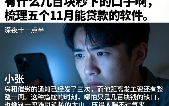 有什么几百块秒下的口子啊，梳理五个11月能贷款的软件