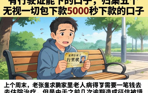有行驶证能下的口子，归集五个无视一切包下款5000秒下款的口子
