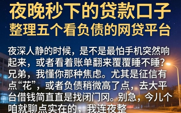 夜晚秒下的贷款口子，整理五个不看负债的网贷平台