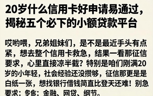 20岁什么信用卡好申请易通过，揭秘五个必下的小额贷款平台