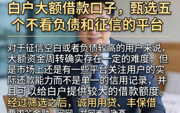 白户大额借款口子，甄选五个不看负债和征信的平台