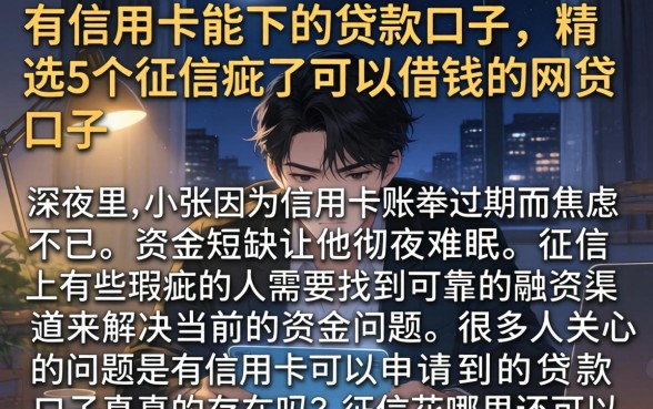 有信用卡能下的贷款口子，精选5个征信花了可以借钱的网贷口子