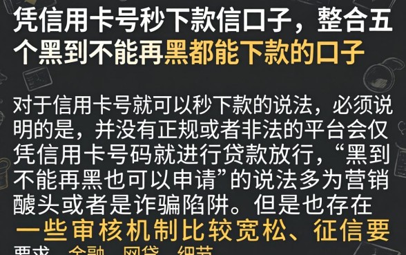 凭信用卡号秒下款的口子，整合五个黑到不能再黑都能下款的口子