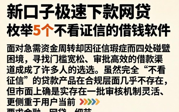 新口子极速下款的网贷，枚举5个不看征信的借钱软件