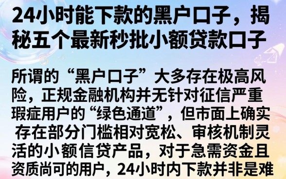 24小时能下款的黑户口子，揭秘五个最新秒批小额贷款口子