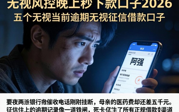 无视风控晚上秒下款口子2026,细致阐述五个无视当前逾期无视征信的借款口子