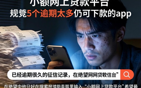 小额网上贷款平台，规整5个逾期太多仍可下款的app