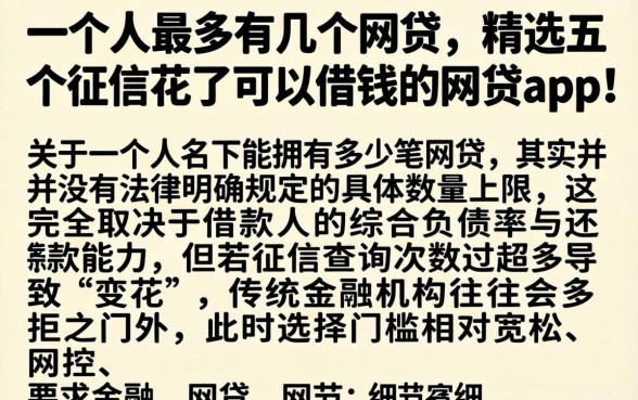一个人最多有几个网贷，精选五个征信花了可以借钱的网贷app