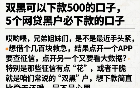 双黑可以下款500的口子，详细阐述5个网贷黑户必下款的口子
