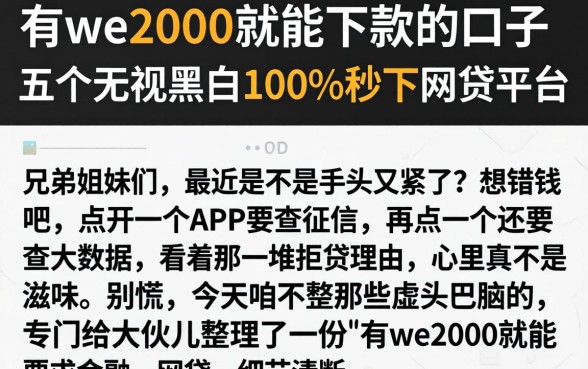 有we2000就能下款的口子，概括五个无视黑白100%秒下网贷平台