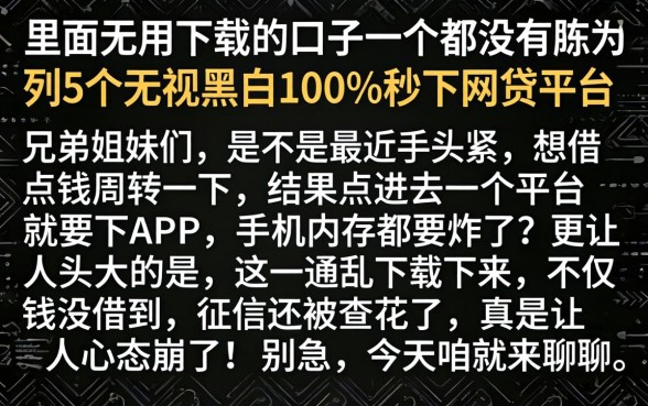 里面不用下载的口子一个都没有，陈列5个无视黑白100%秒下网贷平台