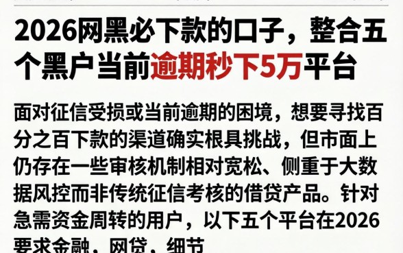 2026网黑必下款的口子，整合五个黑户当前逾期秒下5万平台