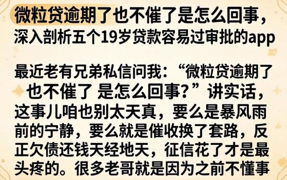 微粒贷逾期了也不催了是怎么回事，深入剖析五个19岁贷款容易过审批的app