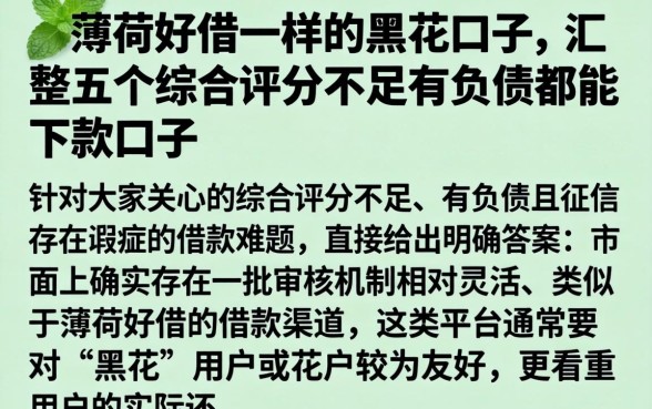 与薄荷好借一样的黑花口子，汇整五个综合评分不足有负债都能下款口子