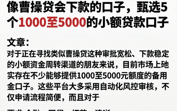 像曹操贷会下款的口子，甄选5个1000至5000的小额贷款口子