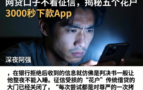 网贷口子不看征信，揭秘五个花户3000秒下款app
