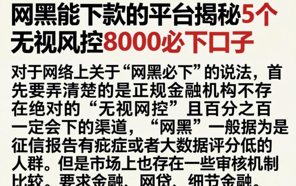 网黑能下款的平台，揭秘5个无视风控8000必下口子