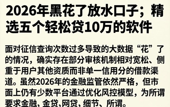 2026年黑花了放水口子，精选五个轻松贷10万的软件