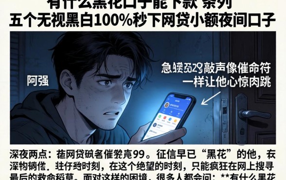 有什么黑花口子能下款，条列五个无视黑白100%秒下网贷小额夜间口子