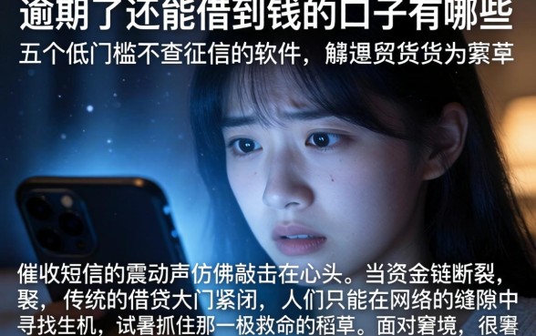 逾期了还能借到钱的口子有哪些，详尽说明五个低门槛不查征信的软件