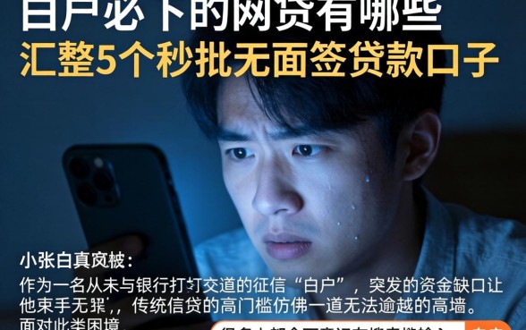 白户必下的网贷有哪些，汇整5个秒批无面签贷款口子
