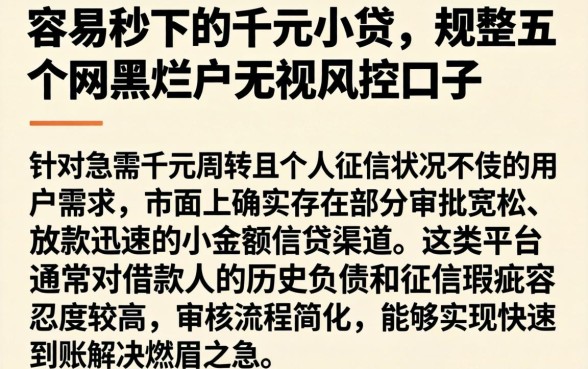 容易秒下的千元小贷，规整五个网黑烂户无视风控口子