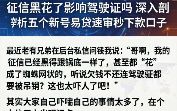 征信黑花了影响驾驶证吗，深入剖析五个新号易贷速审秒下款口子