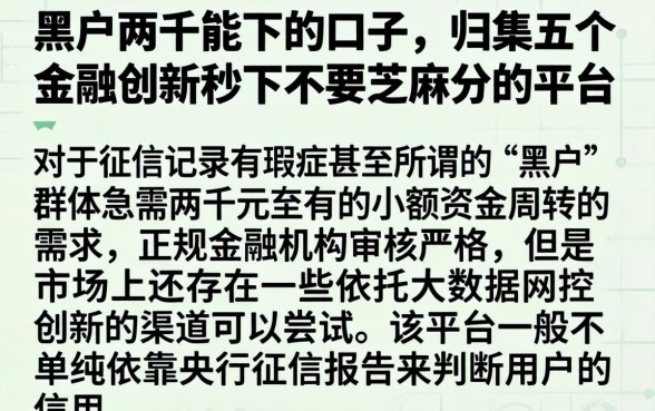 黑户两千能下的口子，归集五个金融创新秒下不要芝麻分的平台