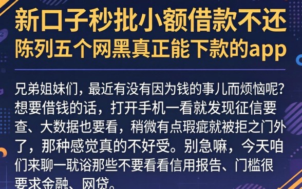 新口子秒批小额借款不还，陈列五个网黑真正能下款的app