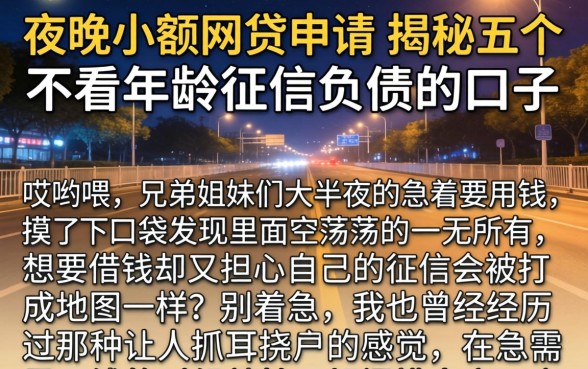 夜间小额网贷申请，揭秘五个不看年龄征信负债的口子