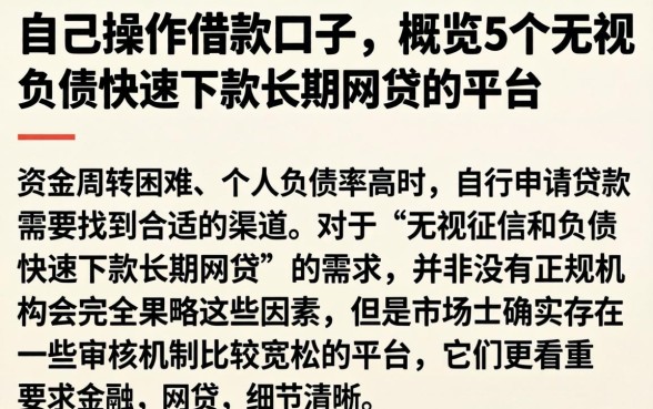 自己操作借款口子，概览5个无视负债快速下款长期网贷的平台