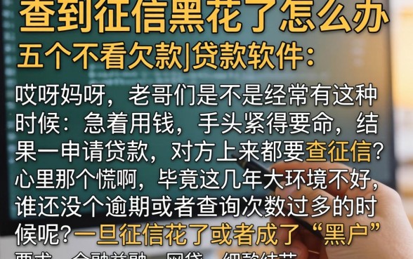 查到征信黑花了怎么办，详细阐述五个不看欠款的贷款软件