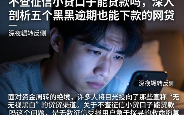 不查征信小贷口子能贷款吗，深入剖析五个黑户逾期也能下款的网贷