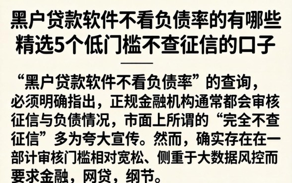 黑户贷款软件不看负债率的有哪些，精选5个低门槛不查征信的口子