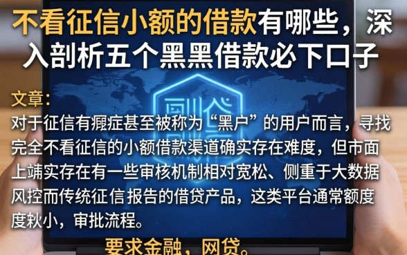 不看征信小额的借款有哪些，深入剖析五个黑户借款必下口子