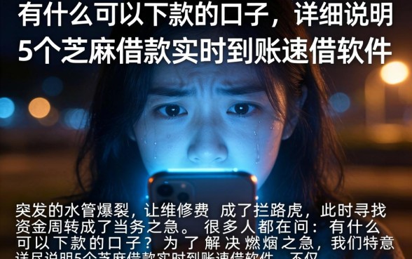 有什么可以下款的口子，详尽说明5个芝麻借款实时到账速借软件