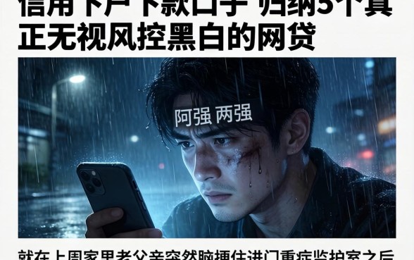 信用下户下款的口子，归纳5个真正无视风控黑白的网贷