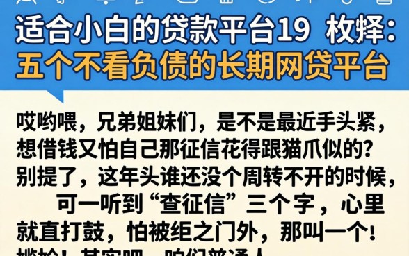 适合小白的贷款平台19，枚举五个不看负债的长期网贷平台