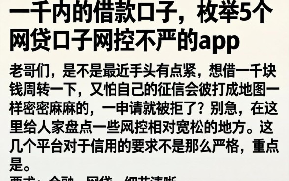 一千内的借款口子，枚举5个网贷口子风控不严的app