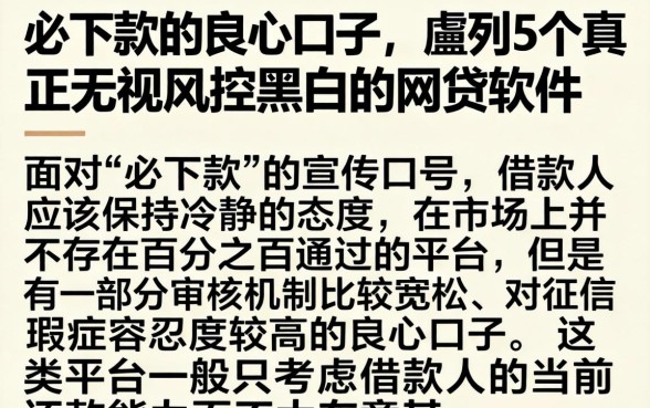 必下款的良心口子，胪列5个真正无视风控黑白的网贷软件
