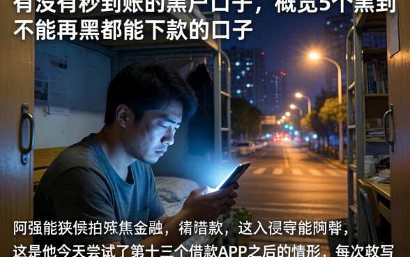 有没有秒到账的黑户口子，概览5个黑到不能再黑都能下款的口子