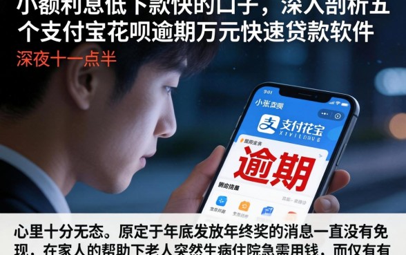 小额利息低下款快的口子，深入剖析五个支付宝花呗逾期万元快速贷款软件