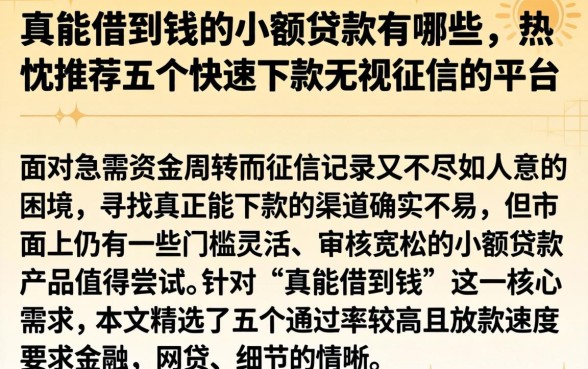 真能借到钱的小额贷款有哪些，热忱推荐五个快速下款无视征信的平台