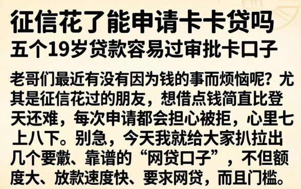 征信花了能申请卡卡贷吗，概括五个19岁贷款容易过审批的口子